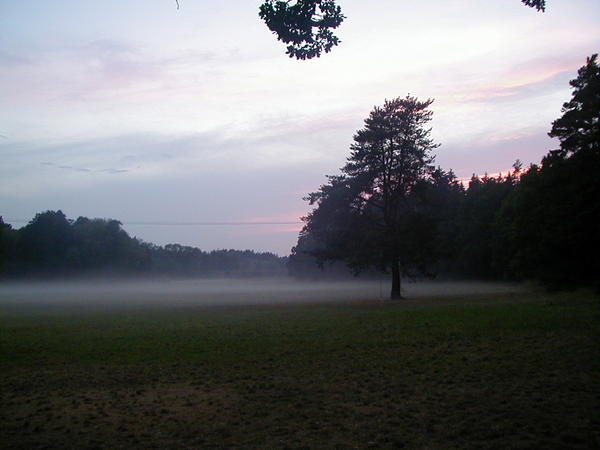 Veern mlha na louce u Myathanky