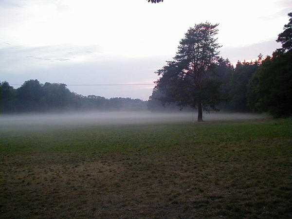 Veern mlha na louce u Myathanky