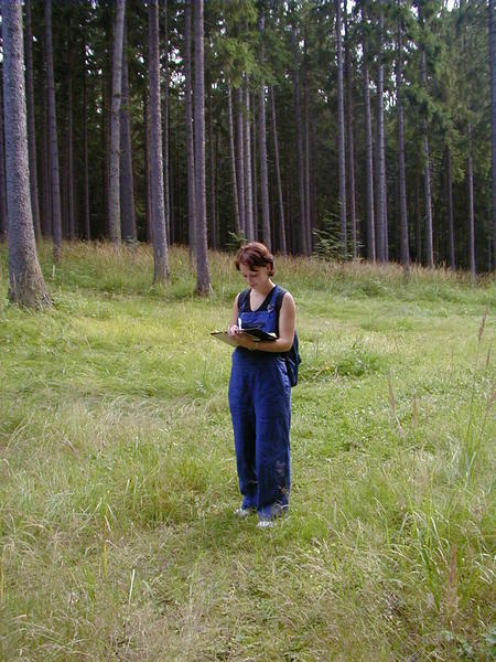 Lena v lese